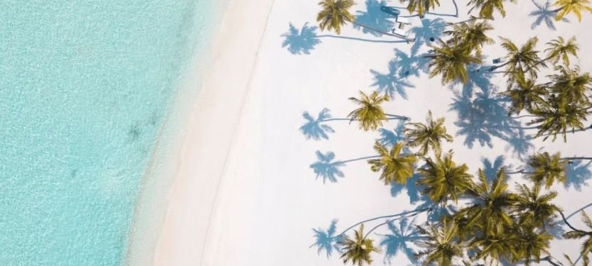 ee83f9_6ebce4b1c16d4271abdd3660df6f1c6e~mv2 (1)